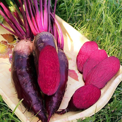 Beet Seeds, Cylindra Beetroot Seed