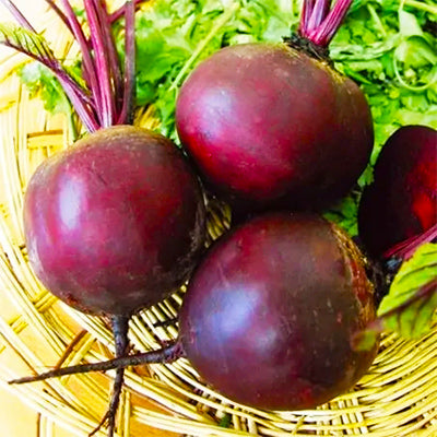 Beet Seeds, Detroit Dark Red Beetroot Seed