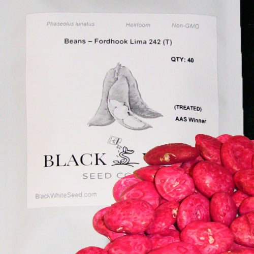 Treated Lima Vean Seed