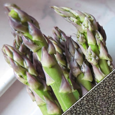 Asparagus Seed
