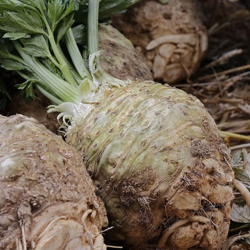 Celeriac