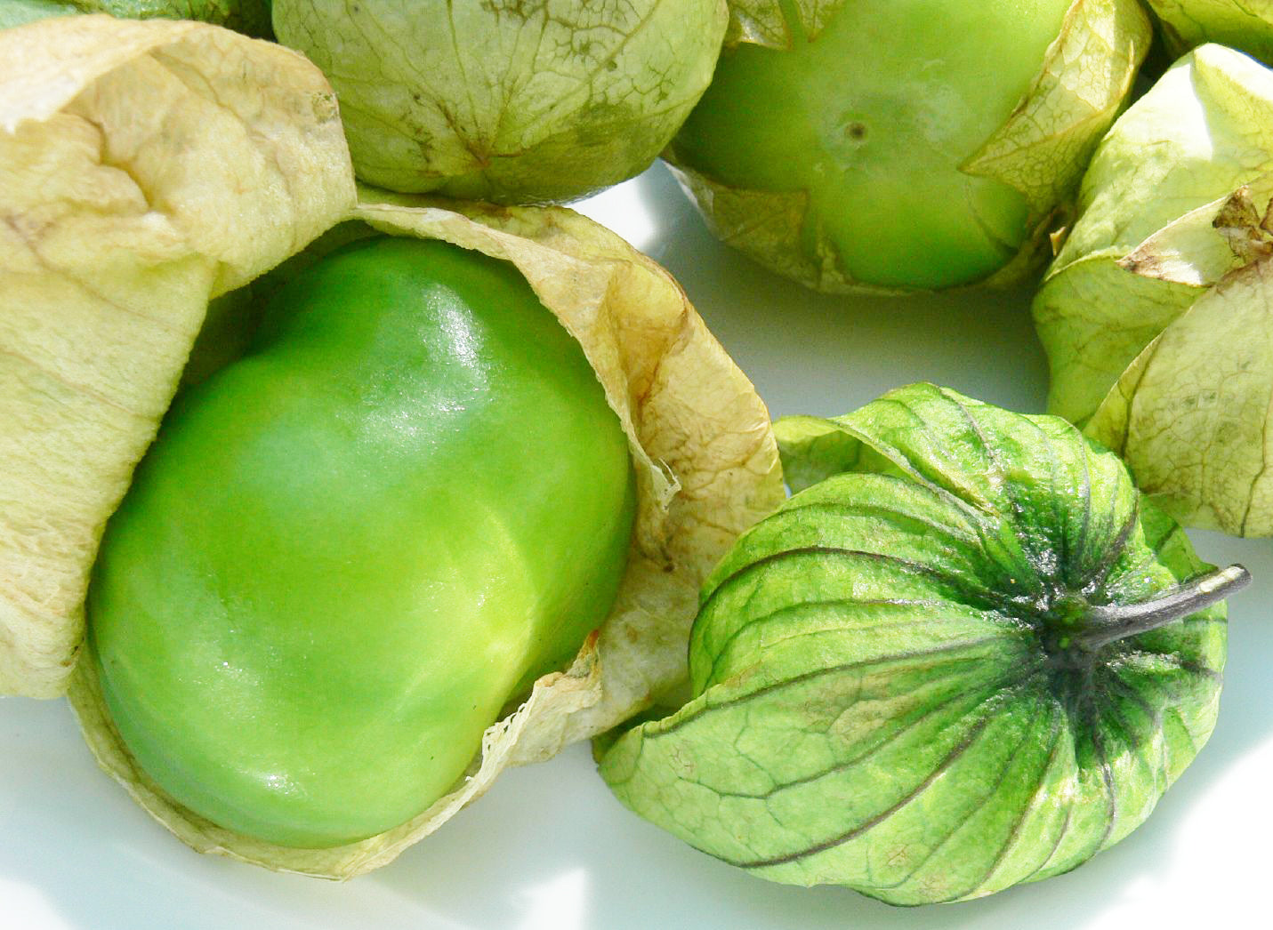 Tomatillo, Gigante Verde (Determinate)