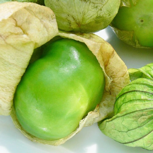 Tomatillo Verde