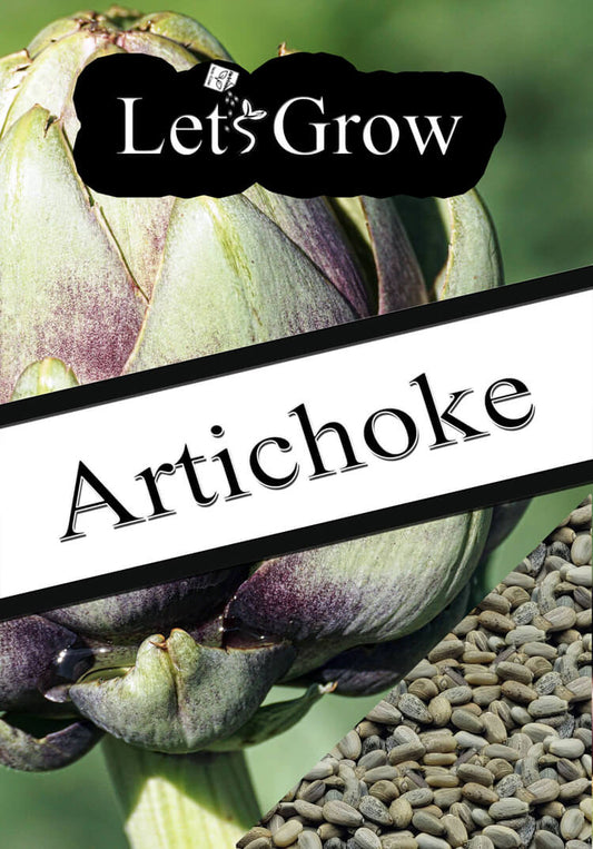 Artichoke Growing Guide