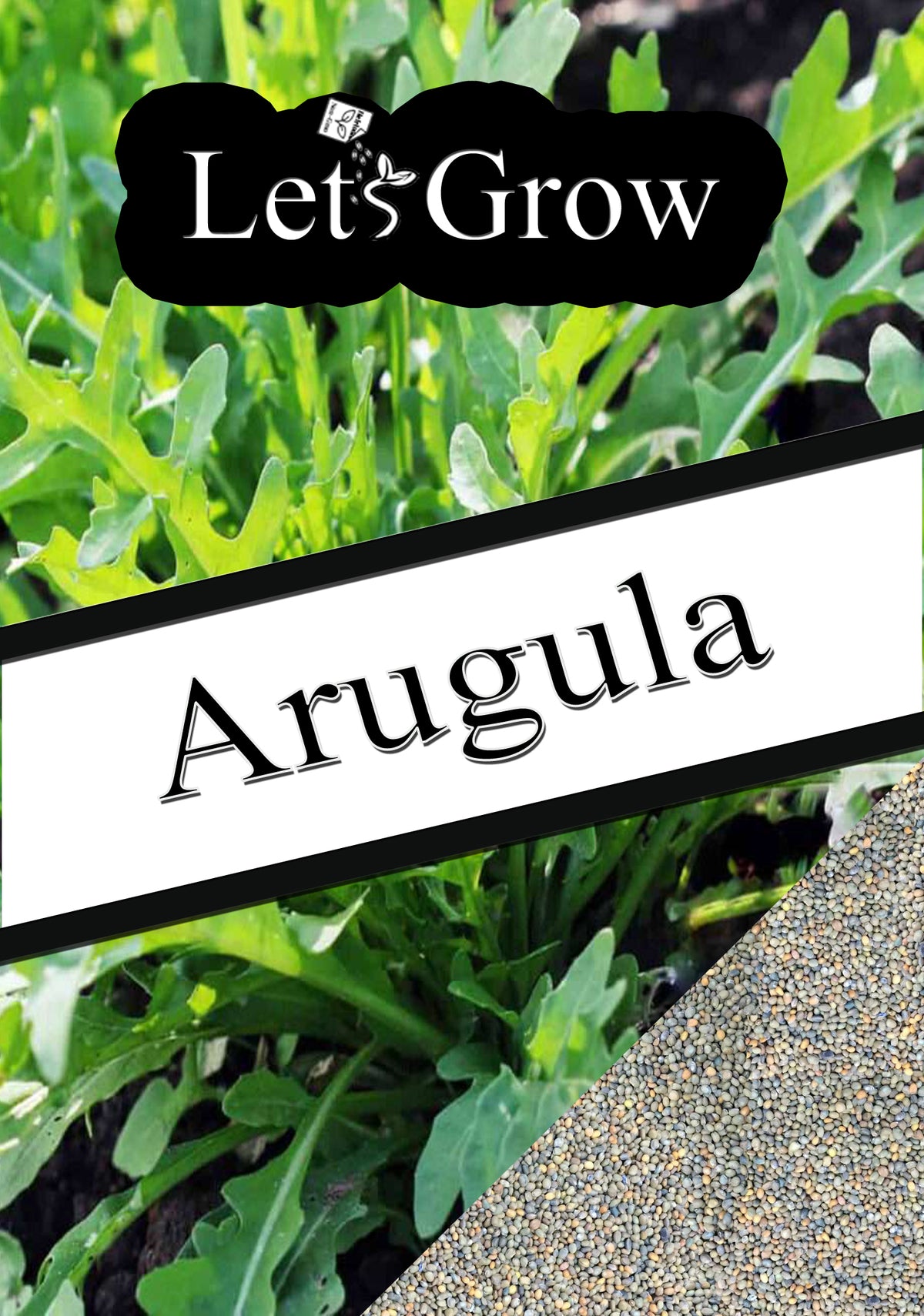 Arugula Growing Guide – Black & White Seed Company
