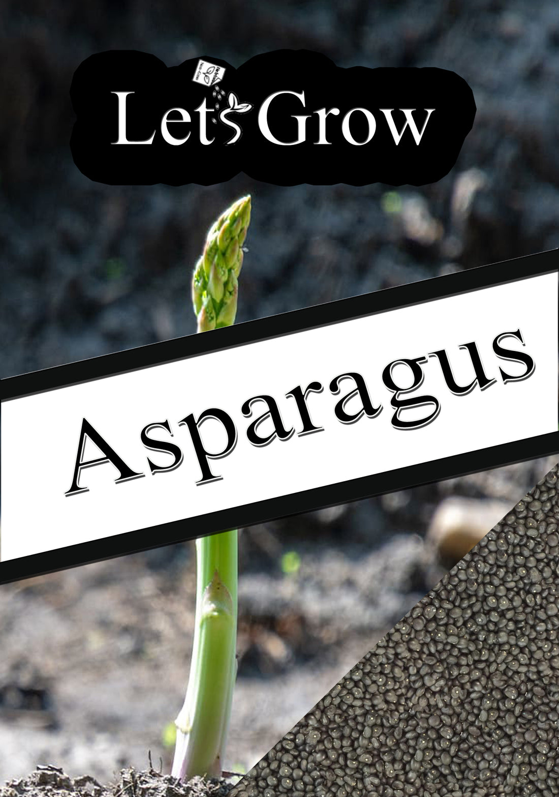 A comprehensive guide to growing asparagus from seed