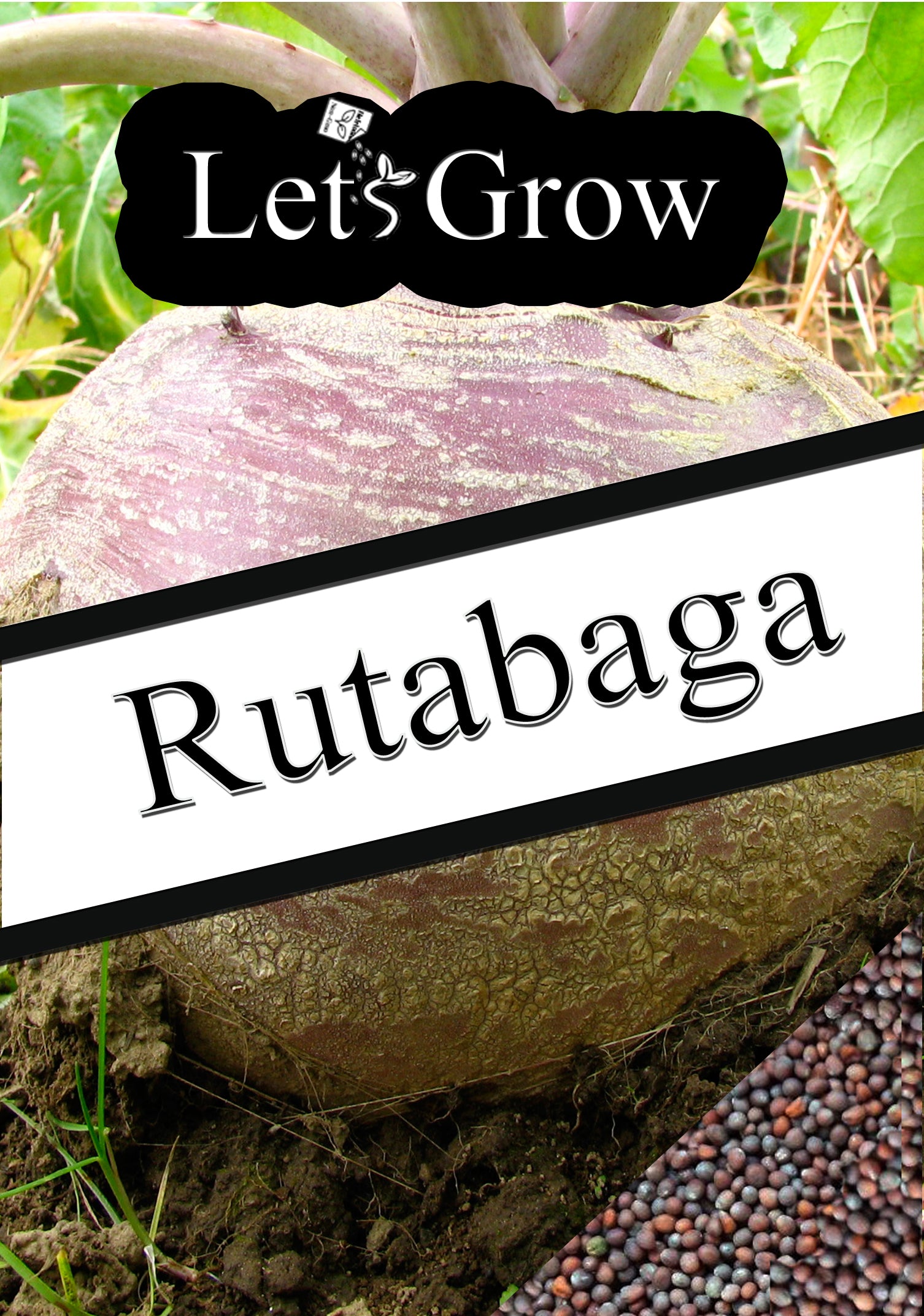 Rutabaga Growing Guide – Black & White Seed